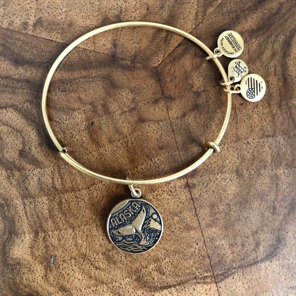 Alex and Ani Jewelry - Alex and Ani Alaska bracelet